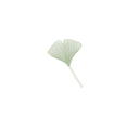 Ginkgo Wellness Logo